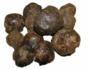 Cum de a trata caracteristicile herpes propolis și contraindicații