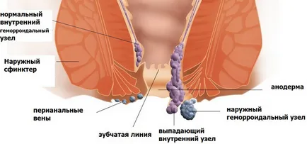 Cum de a trata remedii populare de ficat