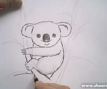 Как да се направи коала молив етапа - уроци по рисуване - полезни за artsphera