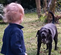 Hogyan, hogy ne váljanak bűncselekmény áldozatává, egészséges élet