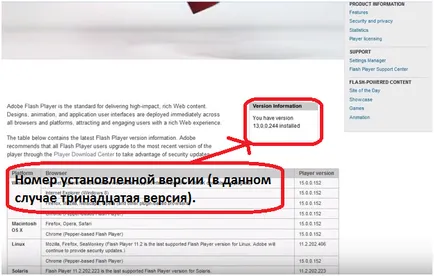 Cum de a actualiza Adobe Flash Player la cea mai recentă versiune gratuit la rusă pentru windose