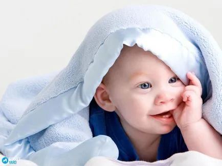 Melyik választani egy takarót egy újszülött, serviceyard-kényelmes otthon kéznél
