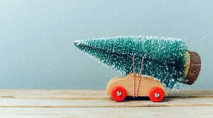 Hogyan vigyük át a karácsonyfa az autóban