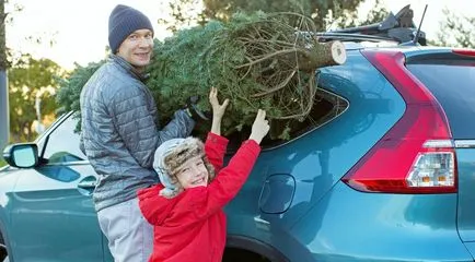 Hogyan vigyük át a karácsonyfa az autóban