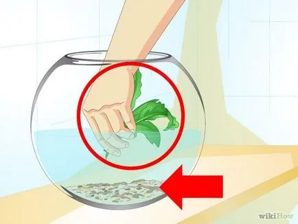 Cum se curata un acvariu