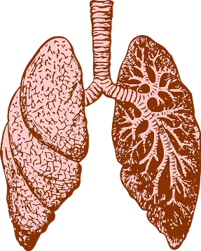 Cum de a respira pe o bandă de alergare