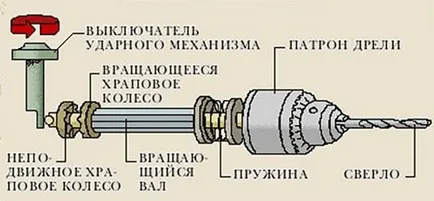 Как да изберем тренировка за дома сред многото видове