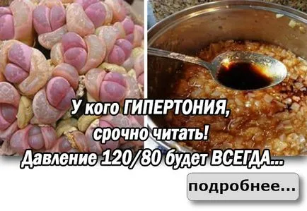 Как да се сложи съвети горчица