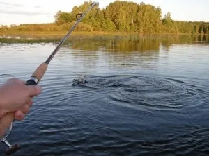 Hogyan nyakkendő damil az orsó rúd, fonás, orsó rendesen videowebhelyek