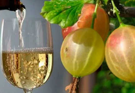 Как да се готви домашно вино от цариградско грозде, без добавки