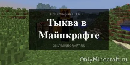 Как да направите тиква maynkrafte