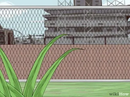 Hogyan hozzunk létre egy japán kert