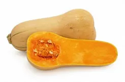 Squash - dovleac cele mai delicioase în creștere