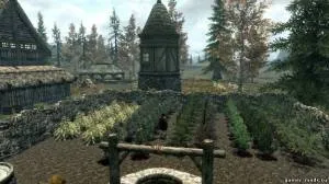 canabis Skyrim