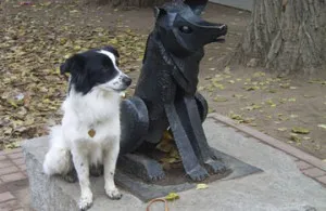 grădina de sculptură mică, Miau batatura