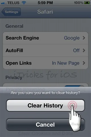 Cum pot șterge istoria browser-ului Safari pe iPhone și iPad