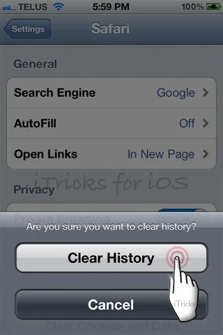 Как да изтрия историята на сафари браузър на Iphone и IPAD