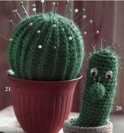 Hogyan lehet összekapcsolni a titokzatos virág kaktusz