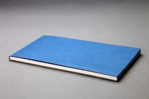 Cum de a alege Sketchbooks și schițe de hârtie și schițe