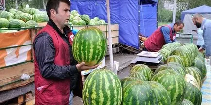 Hogyan válasszuk ki a ízletes görögdinnye - a jobb vételi érett bogyók és hasznos egy üzletben vagy a piacon