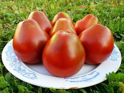 Как да изберете най-добрите сортове домати