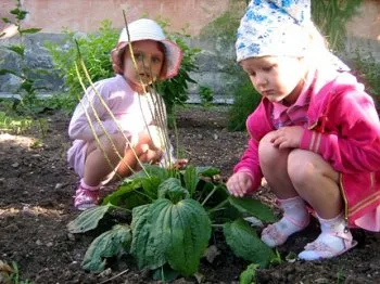 Cum de a crește dragostea unui copil de natură - știm cum!