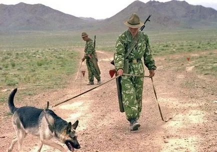 Camouflage и камуфлажни наметало бреза - характеристики, видове и снимки от лятото и зимата камуфлаж СИ КГБ