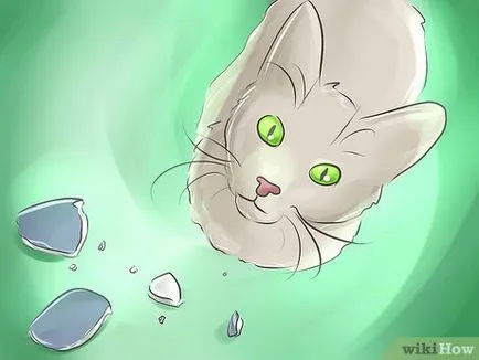 Как да защитим дома си от котка
