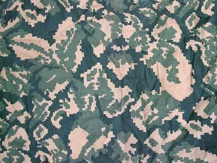 Camouflage и камуфлажни наметало бреза - характеристики, видове и снимки от лятото и зимата камуфлаж СИ КГБ