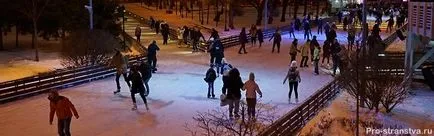 Rink în Gorky Park prețurile biletelor 2016-2017, fotografii