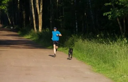 Cani kereszt - egy férfi jogging a kutyájával