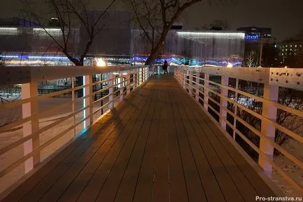 Rink în Gorky Park prețurile biletelor 2016-2017, fotografii