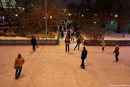 Rink în Gorky Park prețurile biletelor 2016-2017, fotografii