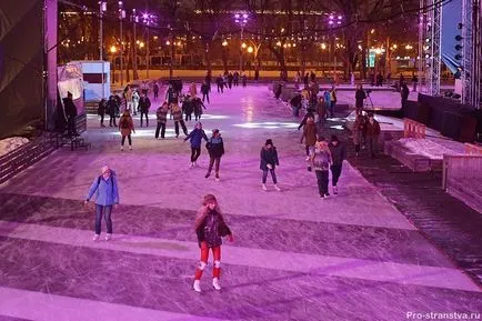 Rink în Gorky Park prețurile biletelor 2016-2017, fotografii