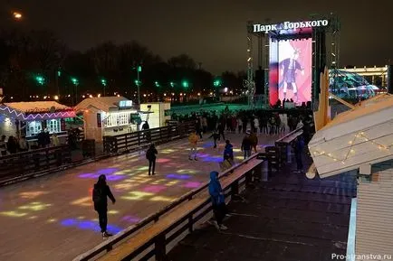 Rink în Gorky Park prețurile biletelor 2016-2017, fotografii