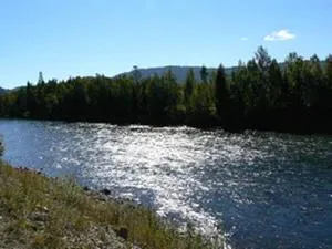 Защо мечтата на вода