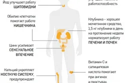 ползи от ягода диабет и методи за ползване