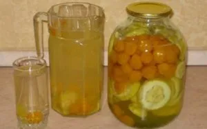 Kompót citrom télen egy egyszerű, lépésről lépésre receptek fotókkal