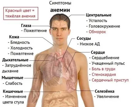 Кориандър полезни свойства и противопоказания 1