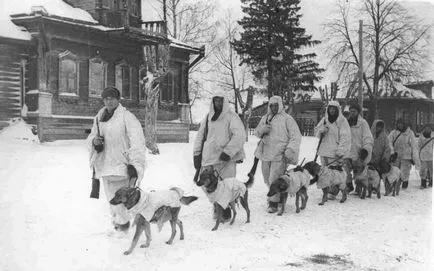 Kutyák tartályok harcosok (Valentine kotyuh)