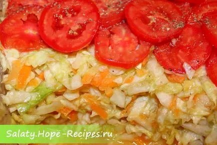 Lédús saláta fejes káposzta és paradicsom „saláta receptek
