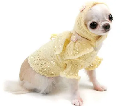 Dog Fashion 2013 costume pentru câini, Imbrăcăminte pentru câini, cum să se îmbrace și decora câinele, toate