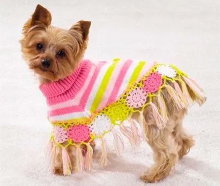 Dog Fashion 2013 jelmezek kutyáknak, Ruhák a kutyák számára, hogyan kell öltözni, és díszítse a kutya, minden