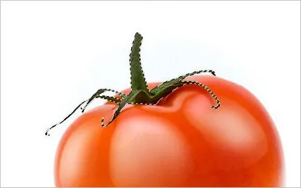 Красива домат - рисунка