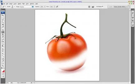 Beautiful tomate - desen