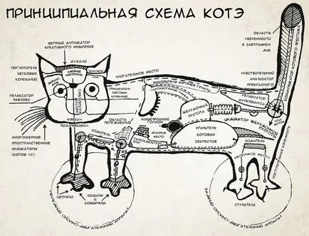 Kotofizika (sematikus kote), online magazin 