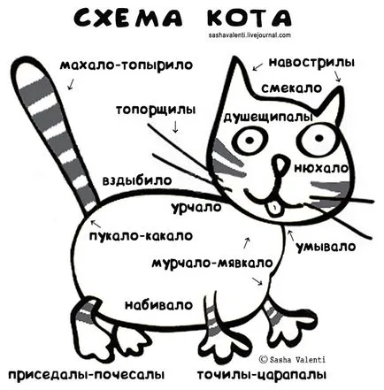 Kotofizika (Kote schematice), revista on-line 