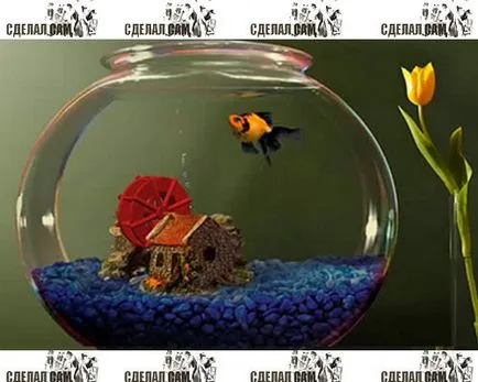 Fishbowl legalizálják magukat