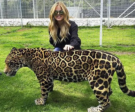 Ki Khloé Kardashian, az ő karrier és a magánélet (a férje Lamar Odom), hírek és fotó 2017