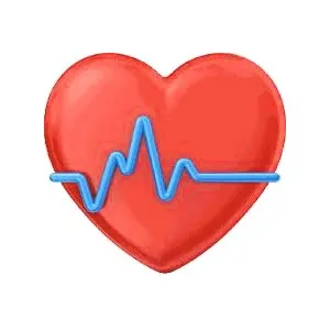 Локално нарушение на интравентрикулен проводимост на сърцето причинява симптомите, лечение и начини за